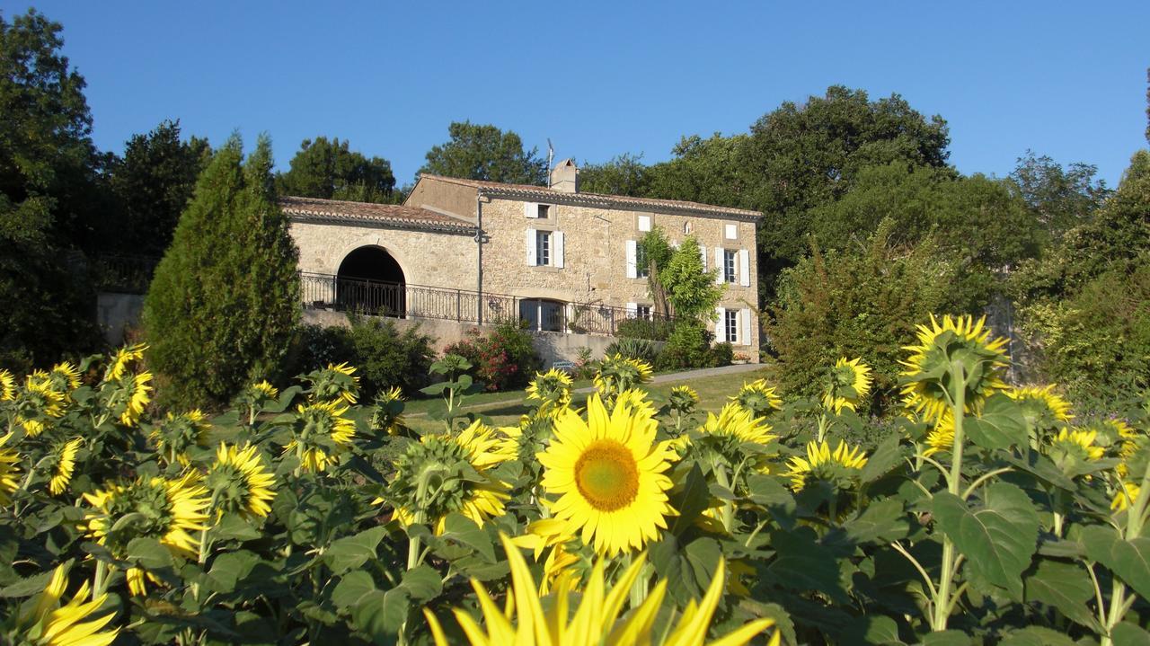 Chambres D'Hotes Domaine De La Capelle Saint-Martin-Lalande Exterior photo